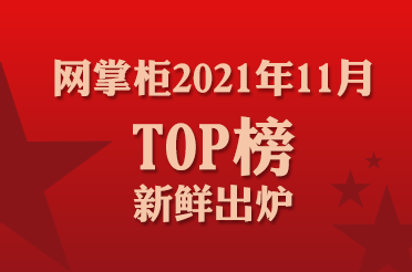 网掌柜2021年11月top榜单新鲜出炉